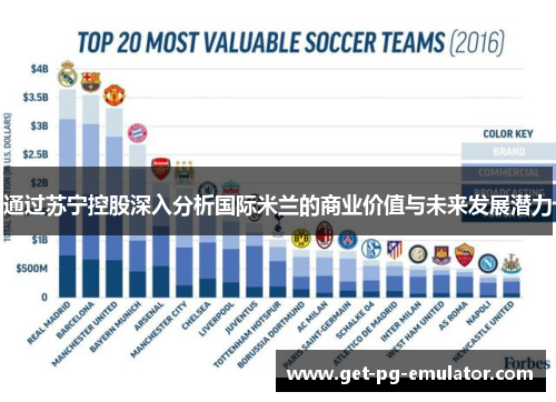 通过苏宁控股深入分析国际米兰的商业价值与未来发展潜力 通过苏宁控股深入分析国际米兰的商业价值与未来发展潜力
